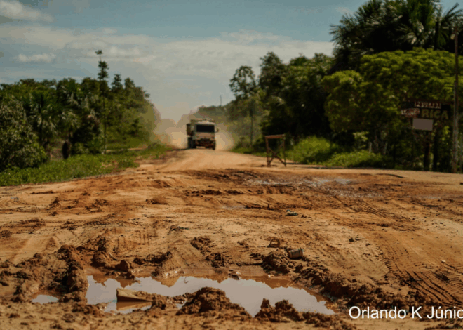 TCU mantém licença para pavimentar a BR-319