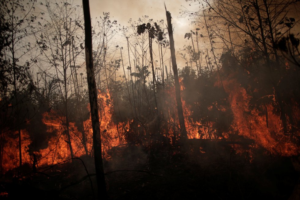 Até 40% do que resta da Amazônia já sofreu degradação, apontam estudos