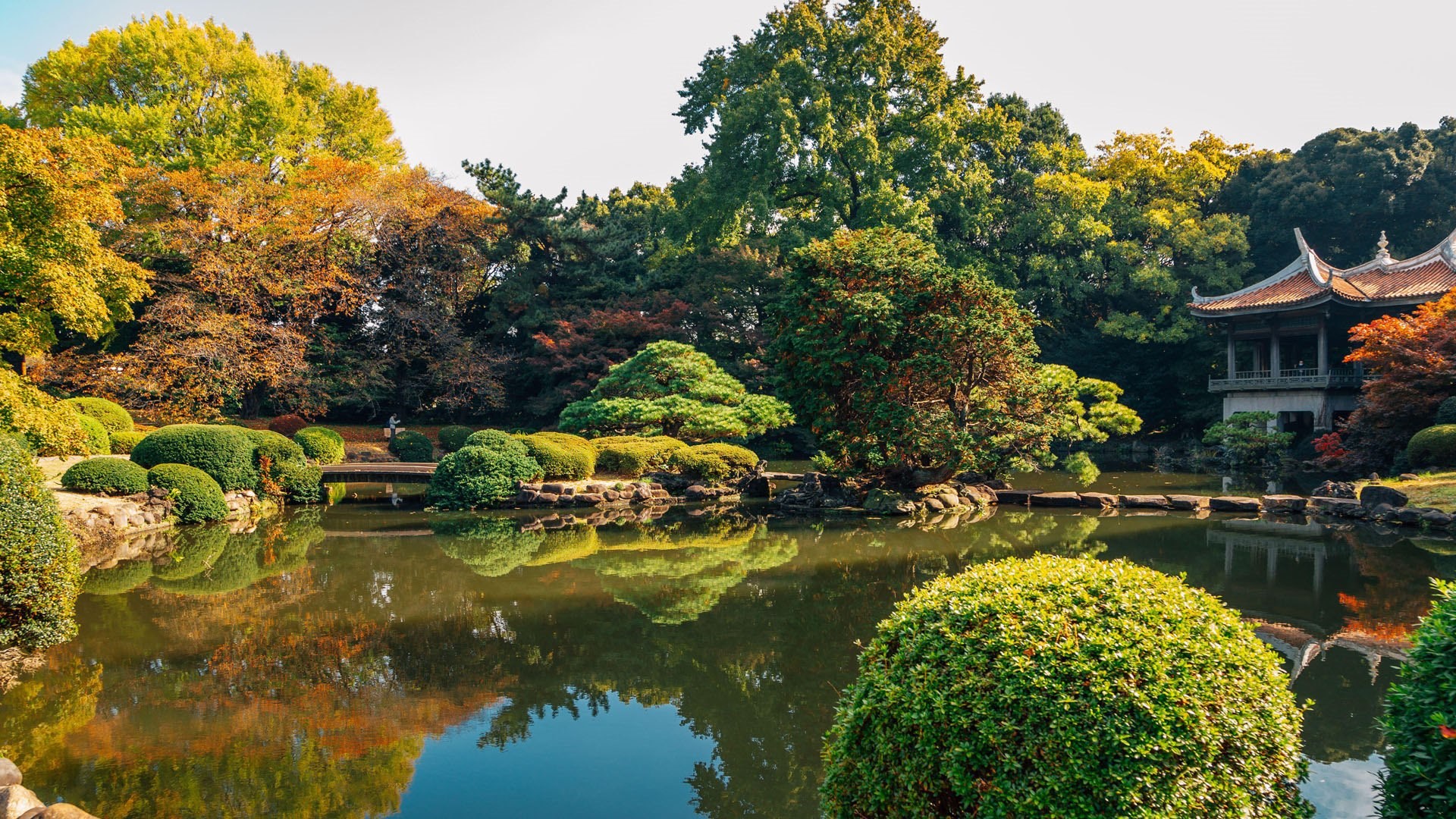 Parque Shinjuku Gyoen em Tóquio, no Japão