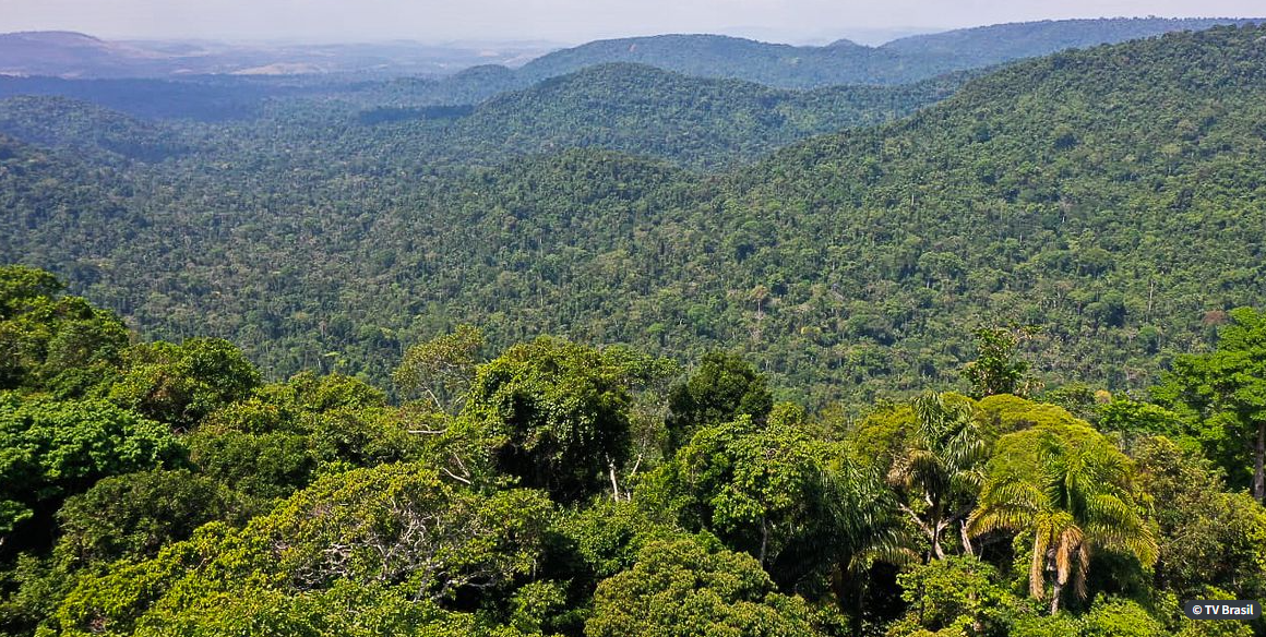 Cúpula da Amazônia será realizada em Belém evento reunirá os chefes de Estado de oito países