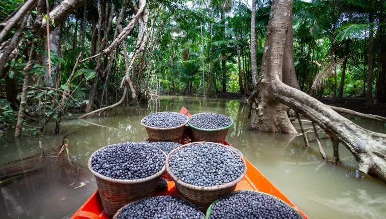 Quem vive na Amazônia não pode estar destinado a viver na fome, no atraso e no abandono.