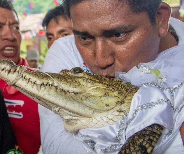 Prefeito se casa com jacaré vestido de ‘noiva’ e sela união com beijo