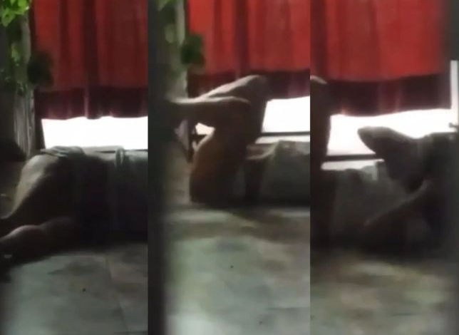 Vídeo mostra suposta “mãe” de Djidja ex-sinhazinha do boi garantido sob efeito de ketamina