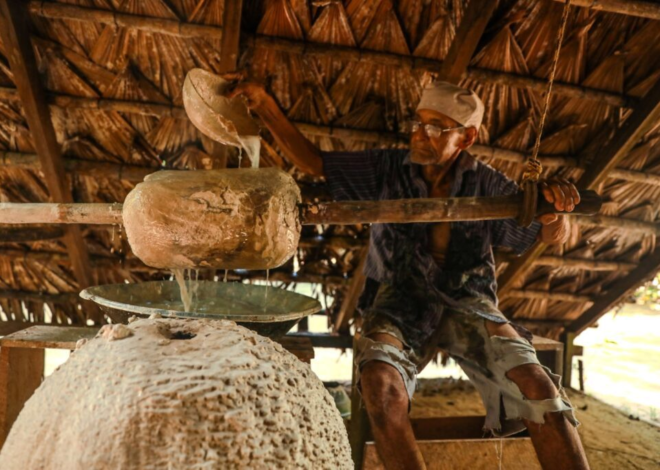 Museu do Seringal Vila Paraíso comemora 22 anos com programação especial e visitação gratuita