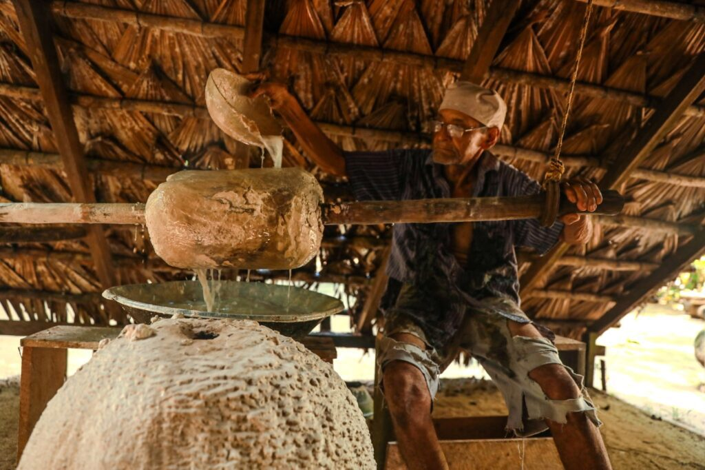 Museu do Seringal Vila Paraíso comemora 22 anos com programação especial e visitação gratuita