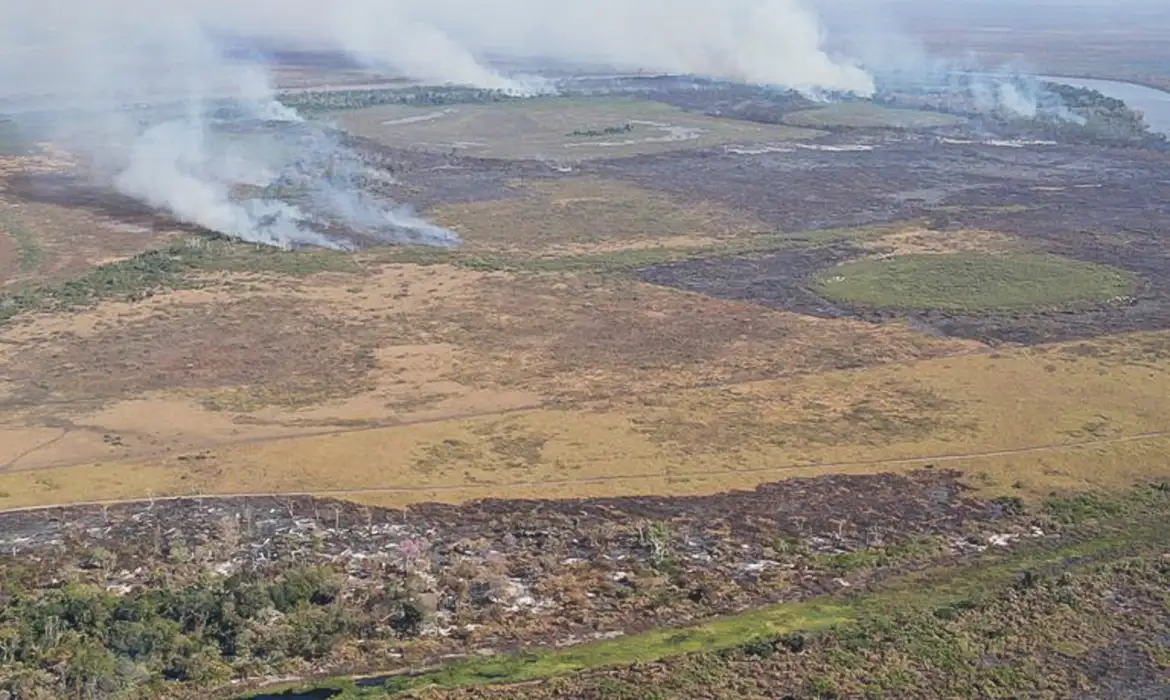 Emissão de gases por incêndios é recorde em dois estados: Mato Grosso do Sul e Amazonas