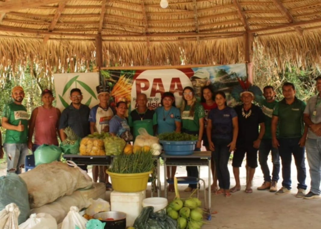 Entrega de alimentos do PAA indígena em Belterra, fortalece a segurança alimentar.