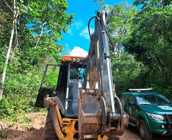 Operação Caraipé I combate desmatamento e ocupação ilegal em municípios do Pará