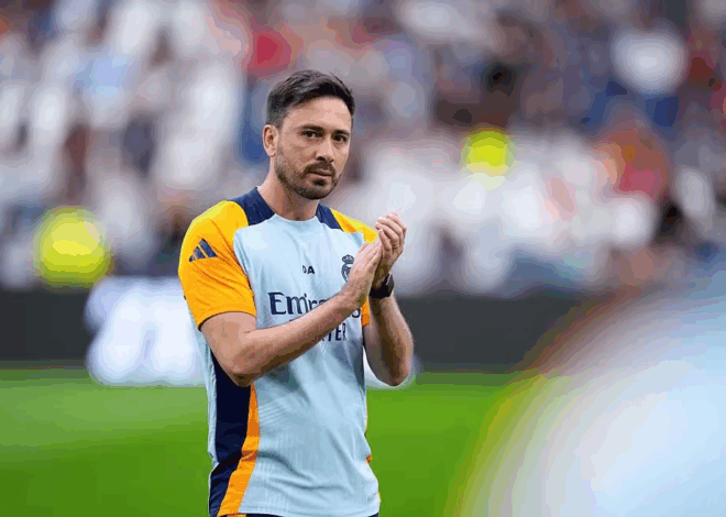 Ancelotti deseja implementar funções inéditas na comissão técnica do Botafogo