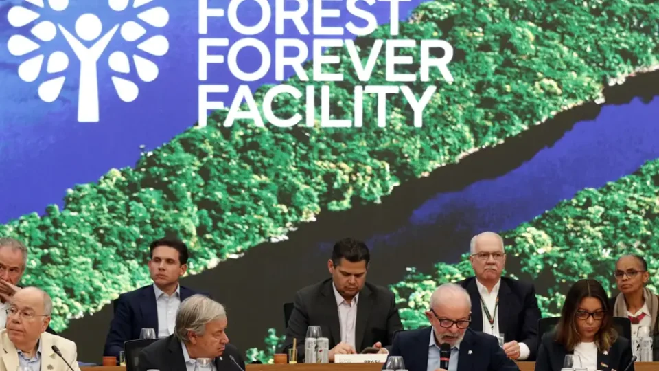 Fundo para florestas tropicais atinge aporte de US$ 5,5 bilhões